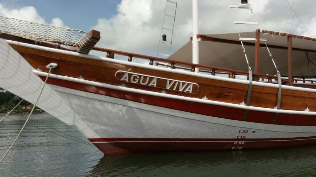 Imagem-do-WhatsApp-de-2023-12-08-as-14.46.05_b3d7cb45-1024x575